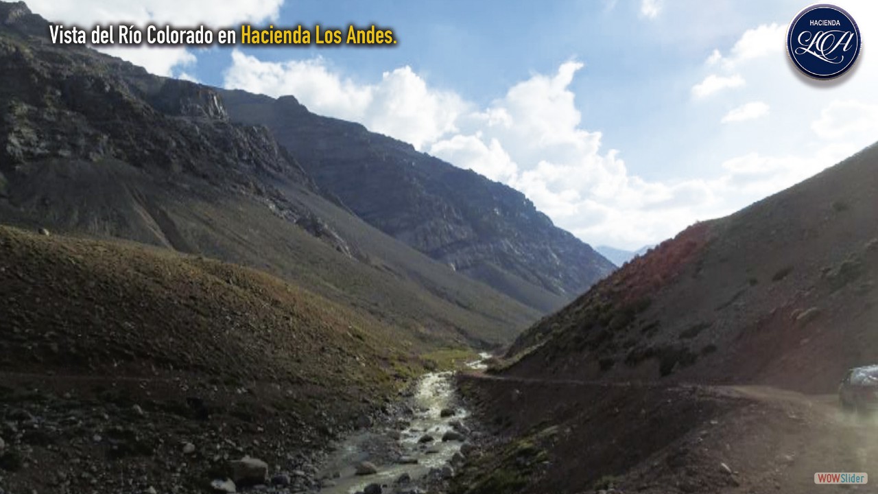 Todas las fotos hacienda los Andes10 