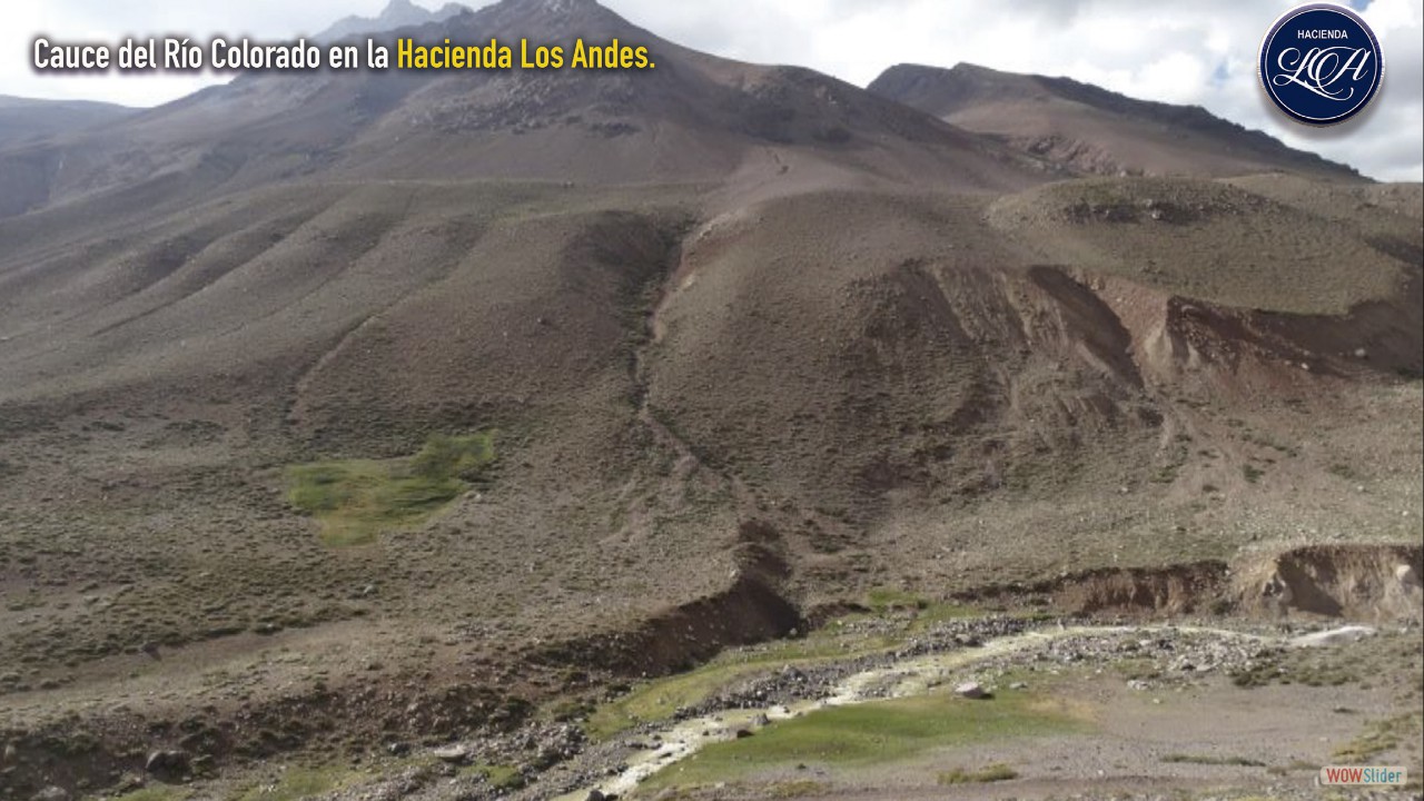 Todas las fotos hacienda los Andes12 