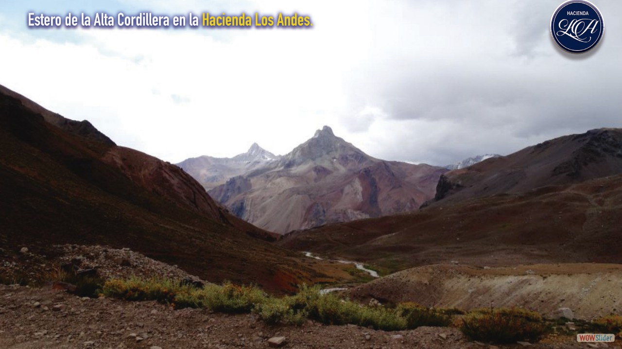 Todas las fotos hacienda los Andes28